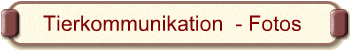 Tierkommunikation  - Fotos